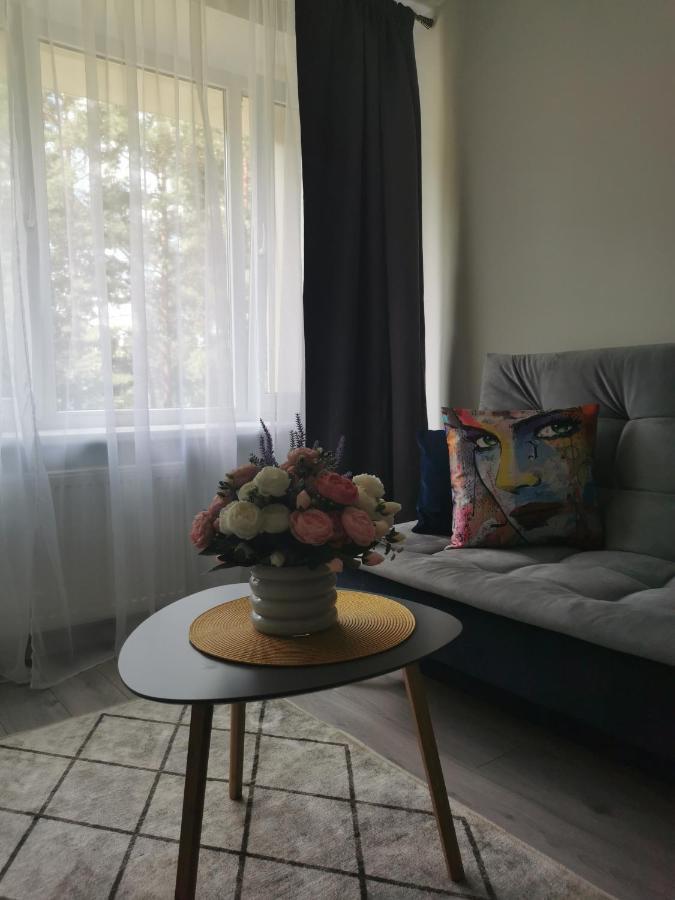 Upes Apartamentai Biržai Exterior foto